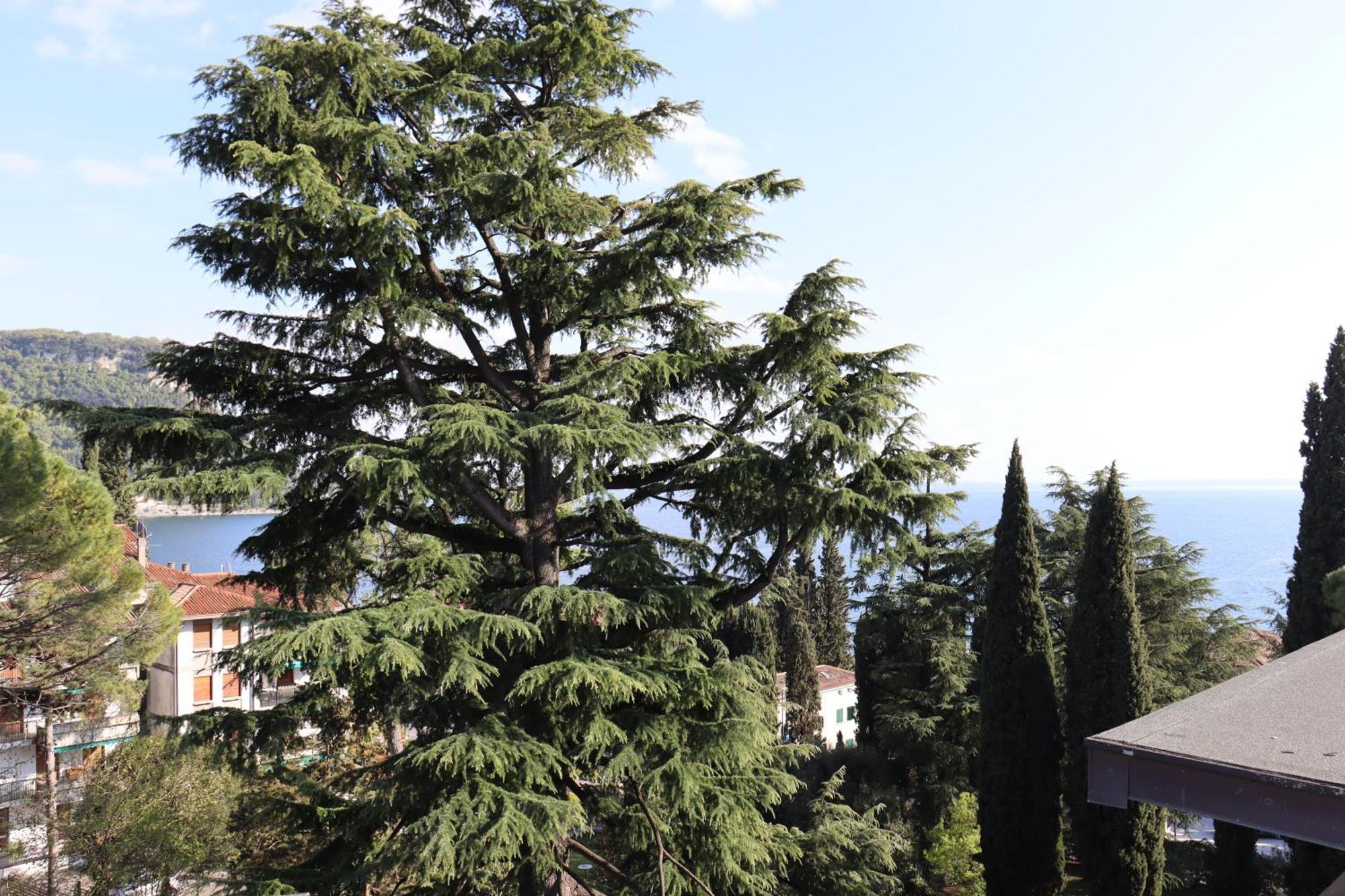 Monika Holiday 315 Magic Lake Garda  Luaran gambar